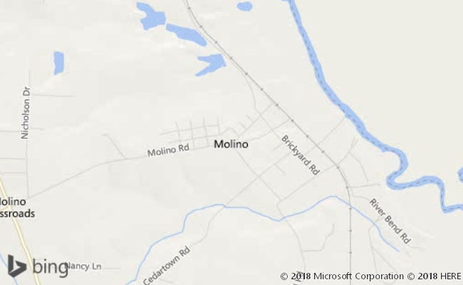 MOLINO FL Property Data, Reports and Statistics